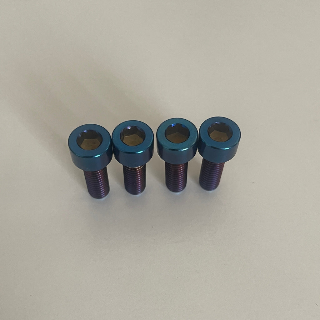 Titanium Pinch Bolts (set of 4)